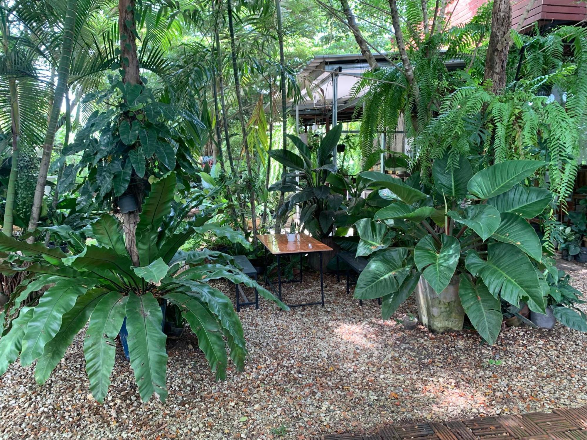 Baan Suan Duang Porn Resort Ban Phae  Dış mekan fotoğraf