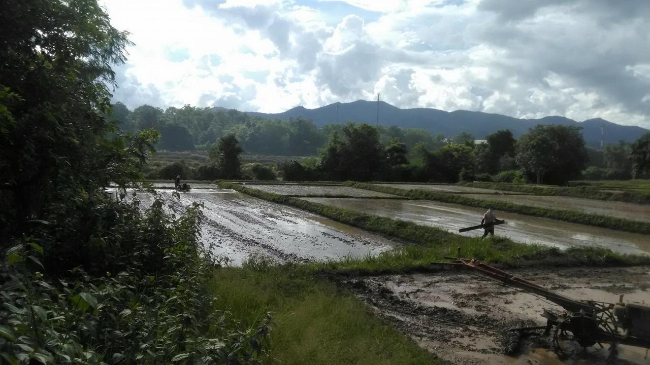 Baan Suan Duang Porn Resort Ban Phae  Dış mekan fotoğraf